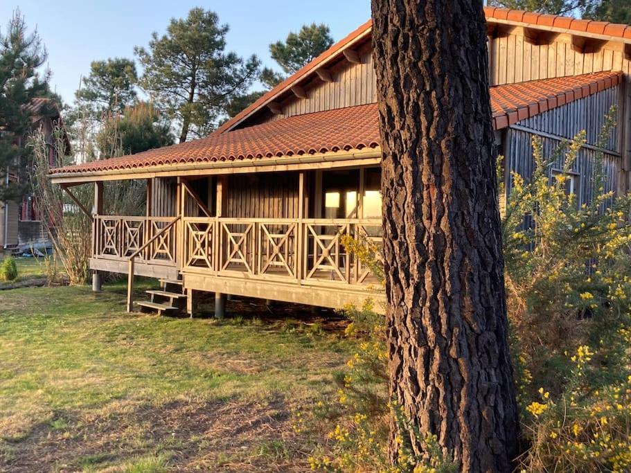 Le Gite De L'Aerogrange Biscarrosse Kültér fotó